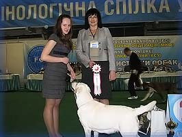 цена услуг хендлера